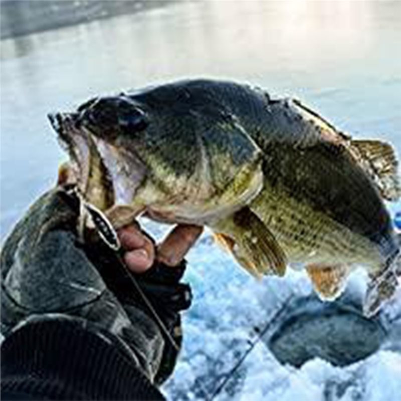 ABLB-Kayak Boot Fischfinder-Tr – Fish Finder Transducer Bewertung und Preis